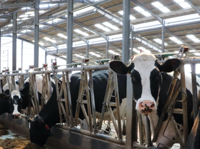 iStock-956197028 Copy