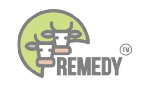 remedy-300x181