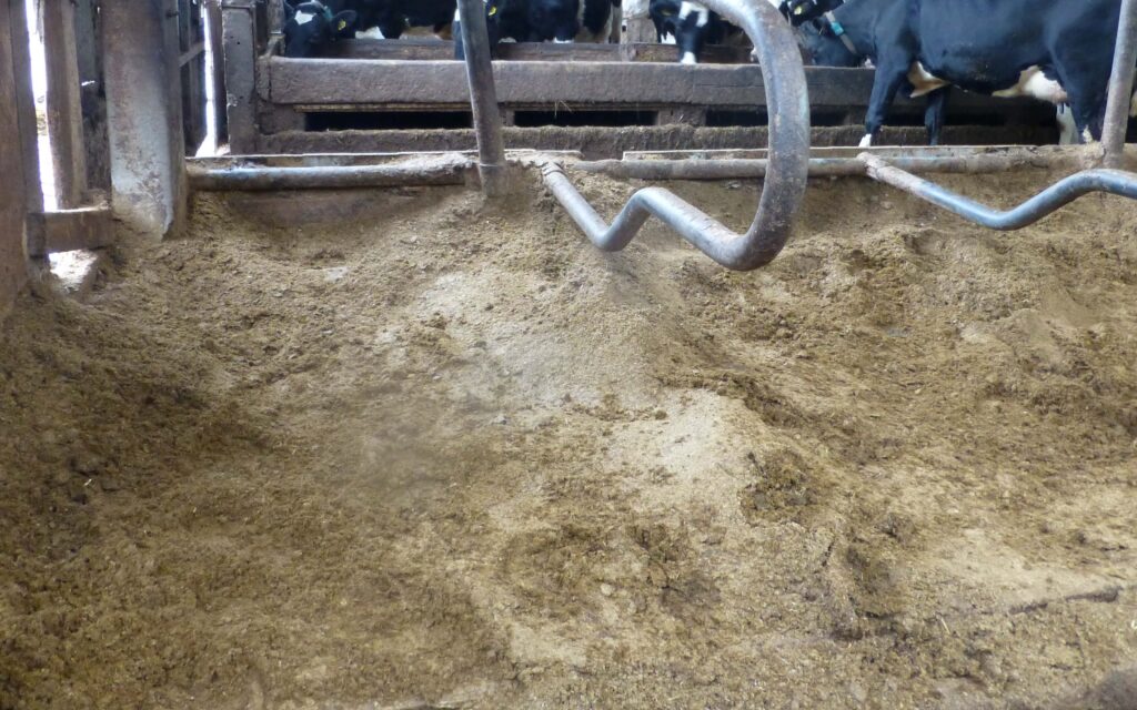 Green bedding on mats (002)