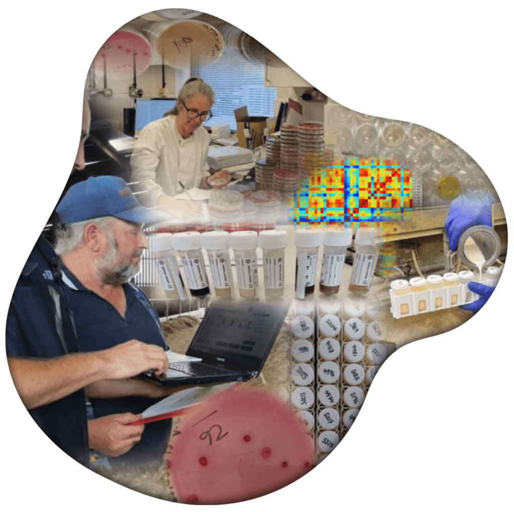 photo montage blob